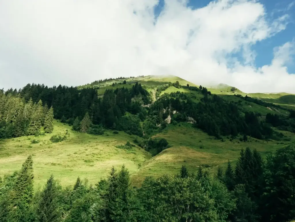 Grüne Hügellandschaft und Wälder in der Umgebung des Hotels.